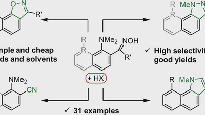 A Precise Synthetic Toolbox: H-Bond-Assisted Quadruple Reactivity of o-Dimethylaminoaryloximes featured image